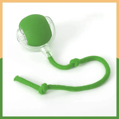 Smart Cat Toys Automatic Rolling Ball Fake Tail