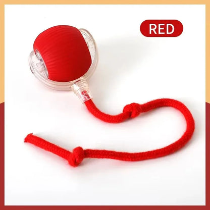 Smart Cat Toys Automatic Rolling Ball Fake Tail