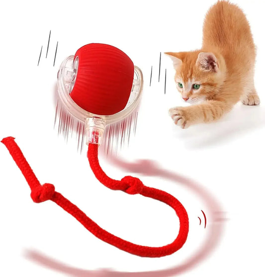 Smart Cat Toys Automatic Rolling Ball Fake Tail